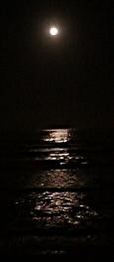 Moonlight over the ocean
