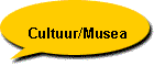 Cultuur/Musea