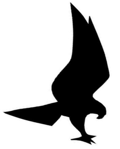 Hawk Logo.jpg (25544 bytes)