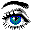 eye~1.gif (2843 bytes)