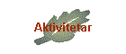 Aktivitetar