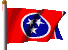 tennessflag.gif (8220 bytes)