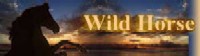 WildHorse Logo