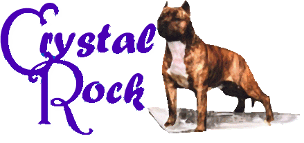 Crystal Rock Logo