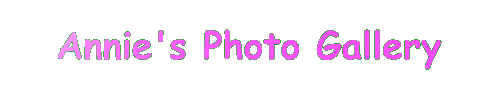 Photo Gallery Logo