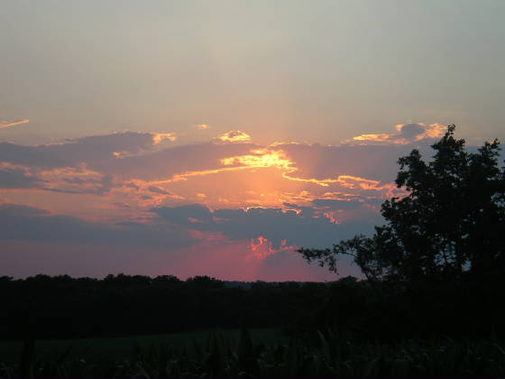 161_sunset.jpg