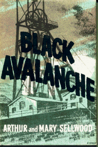 Black Avalanche by Arthur and Mary Sellwood