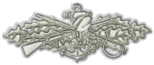 Seabee Combat Warfare Insignia (Enlisted)