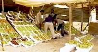Fruit market in the Jordan valley