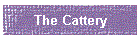 The Cattery