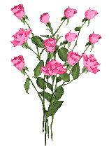 flowers_bouque_of_pink_rosses_prv.gif
