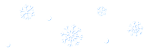 snowflake3.gif (4451 bytes)