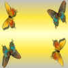 butterflies.jpg (71277 bytes)