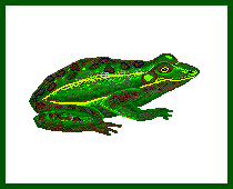 large animated frog