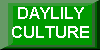 Daylily Culture