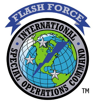 flashforcelogo-new.jpg