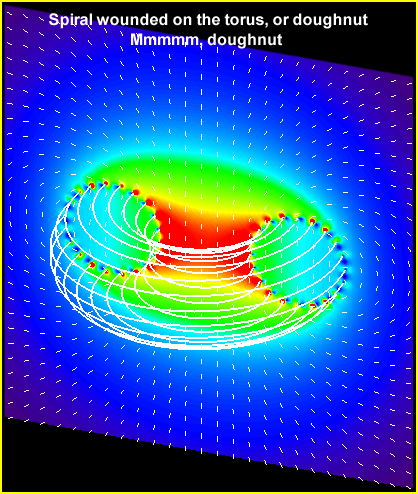 Torus coil_spiral