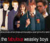 fabulous weasley boys.jpg (28185 bytes)