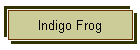 Indigo Frog