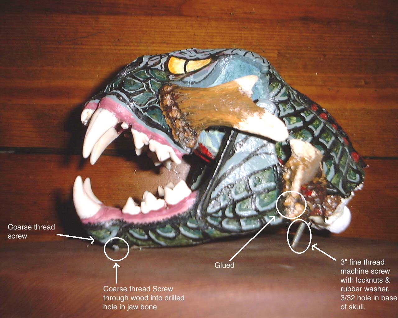 Cougar skull mount.jpg (157804 bytes)