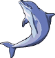 dolphin1.gif (4710 bytes)