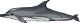 dolphin2.gif (2489 bytes)