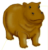 hippo.gif (11999 bytes)