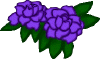 purpleflower.gif (11071 bytes)