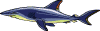 shark1.gif (4729 bytes)