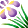 flower13.gif (1486 bytes)