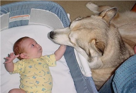 thunder-with-7-weeks-old-baby.jpg