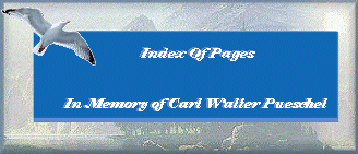 In Memory Of ...Carl Walter Pueschel /  December 14, 1975 - January 19, 1996/Index Of Pages