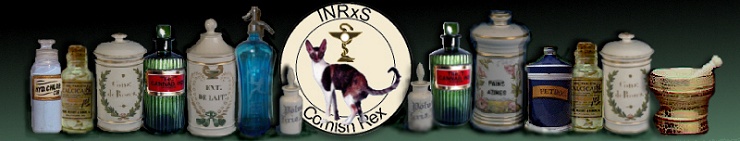 INRxS Cornish Rex Cattery