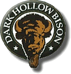 Dark Hollow Bison