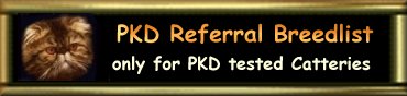 Persian Referral Breedlist for PKD tested Catteries