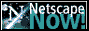 Get Netscape today!