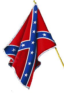 IMAGE of Rebel Flag