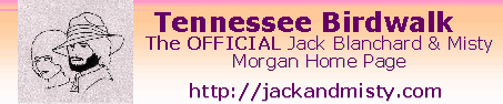 Tennessee Birdwalk - The Official Jack Blanchard and Misty Morgan Home Page