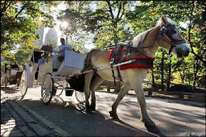 horse-carriage-nyc-400x267.jpg