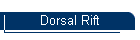 Dorsal Rift