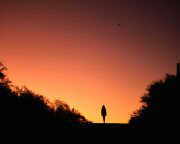 Alone at Sunset