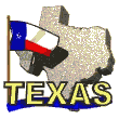Texas Map and Flag