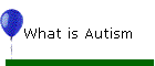 What is Autism