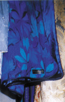 Blue Foliage