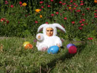 joshua the netcam bunny.jpg (58690 bytes)