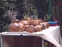 Gourd Baskets