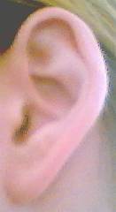 EAR.jpg
