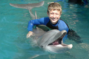 dolphinswim-10copy.jpg