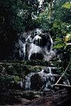 Bat Cascade in Palenque