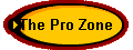  The Pro Zone 